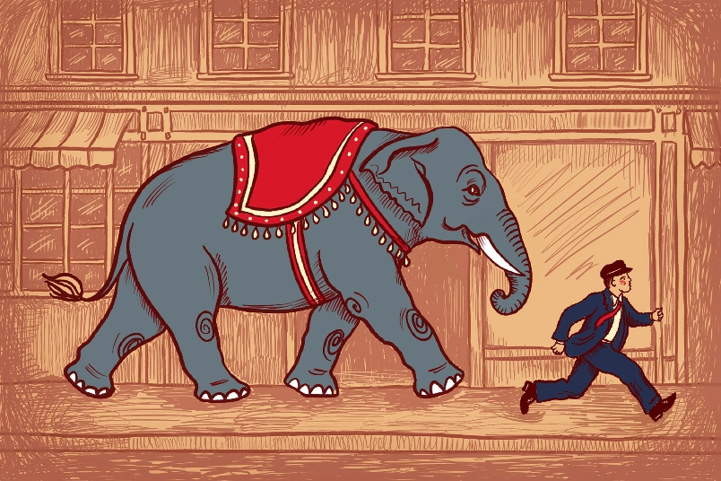 Elephant Stampede