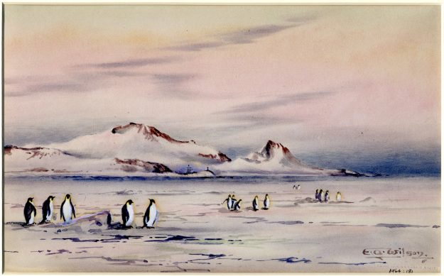 Discovery-Winter-Quarters-1904-625×389