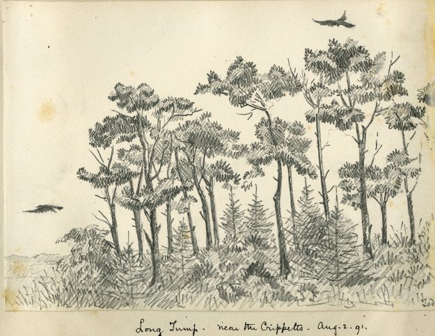 Long-Tump-from-The-Crippetts-August-1891-625×483