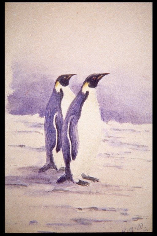 Two-Emperor-Penguins-painting-1904