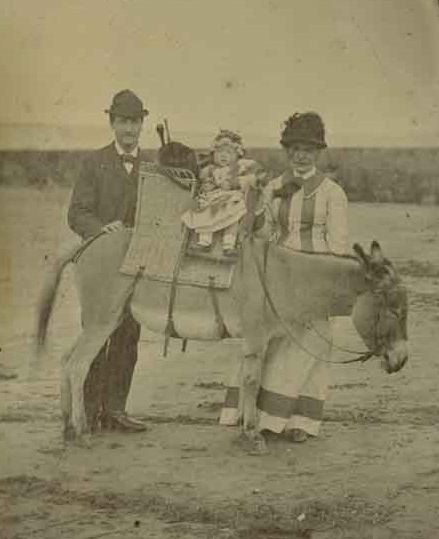 Unaccessioned-material-donkey-on-a-beach-scene